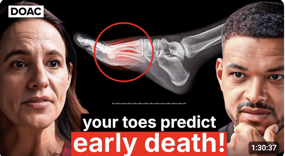 The Diary Of A CEO Podcast